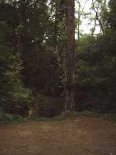 Clearing