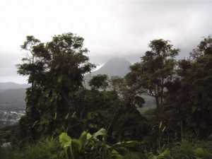 Mountain in Background