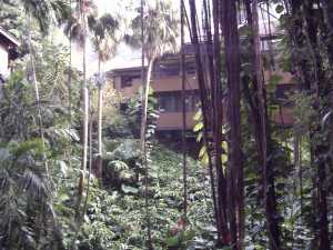 Pali Road House