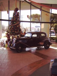 Side by Tree