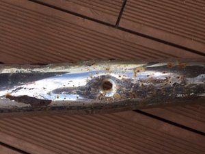 Bumper rust