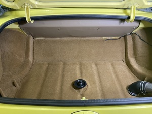 Boot carpet